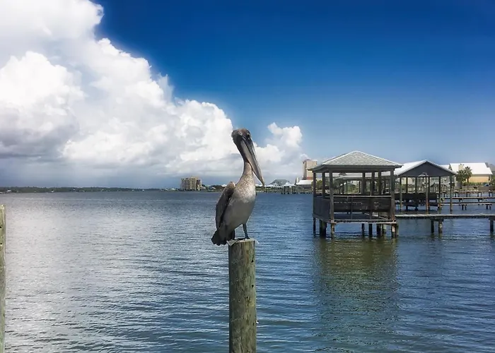 Surf & Racquet Club * Gulf Shores